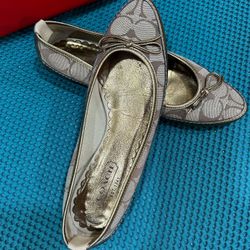 Shoes Couch Size 7