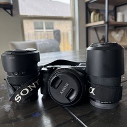 Sony A6600 and Lenses 