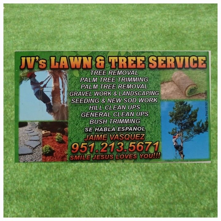 Grass / Cut / Tree Trimm/ Jardinero