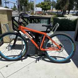 Throne Orange Palm 29’