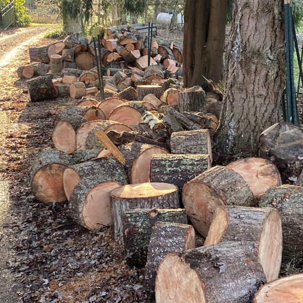 Doug Fir Firewood Rounds for Sale in Snohomish, WA OfferUp