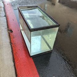 20-Gallon TALL Aquarium 