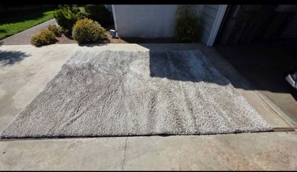 Area Rug For Sale