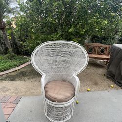 Peacock  Chair 