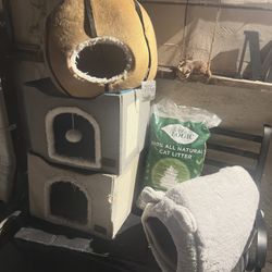 Cat Houses And Litter 