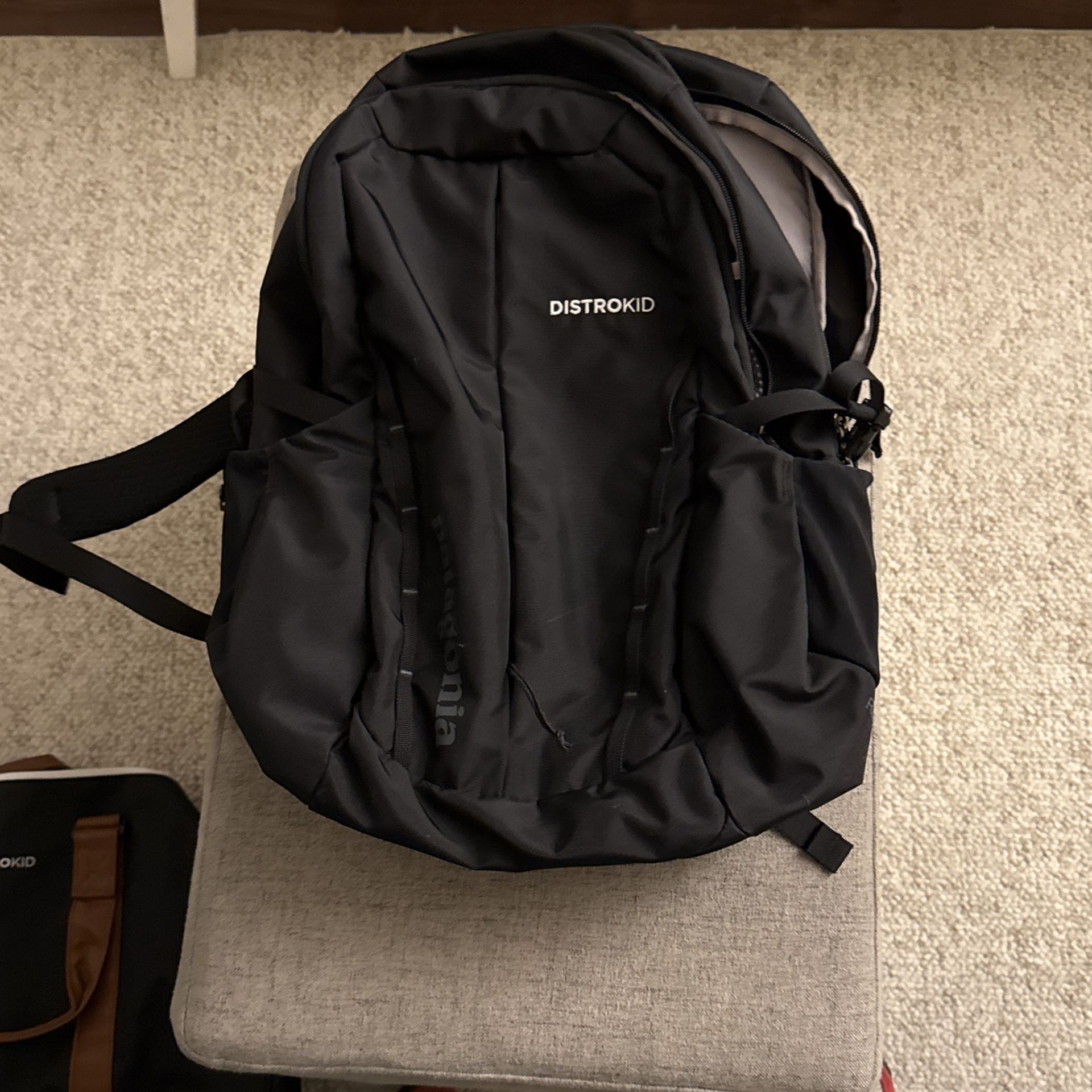 Patagonia Backpack 