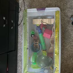 Hamster Enclosure