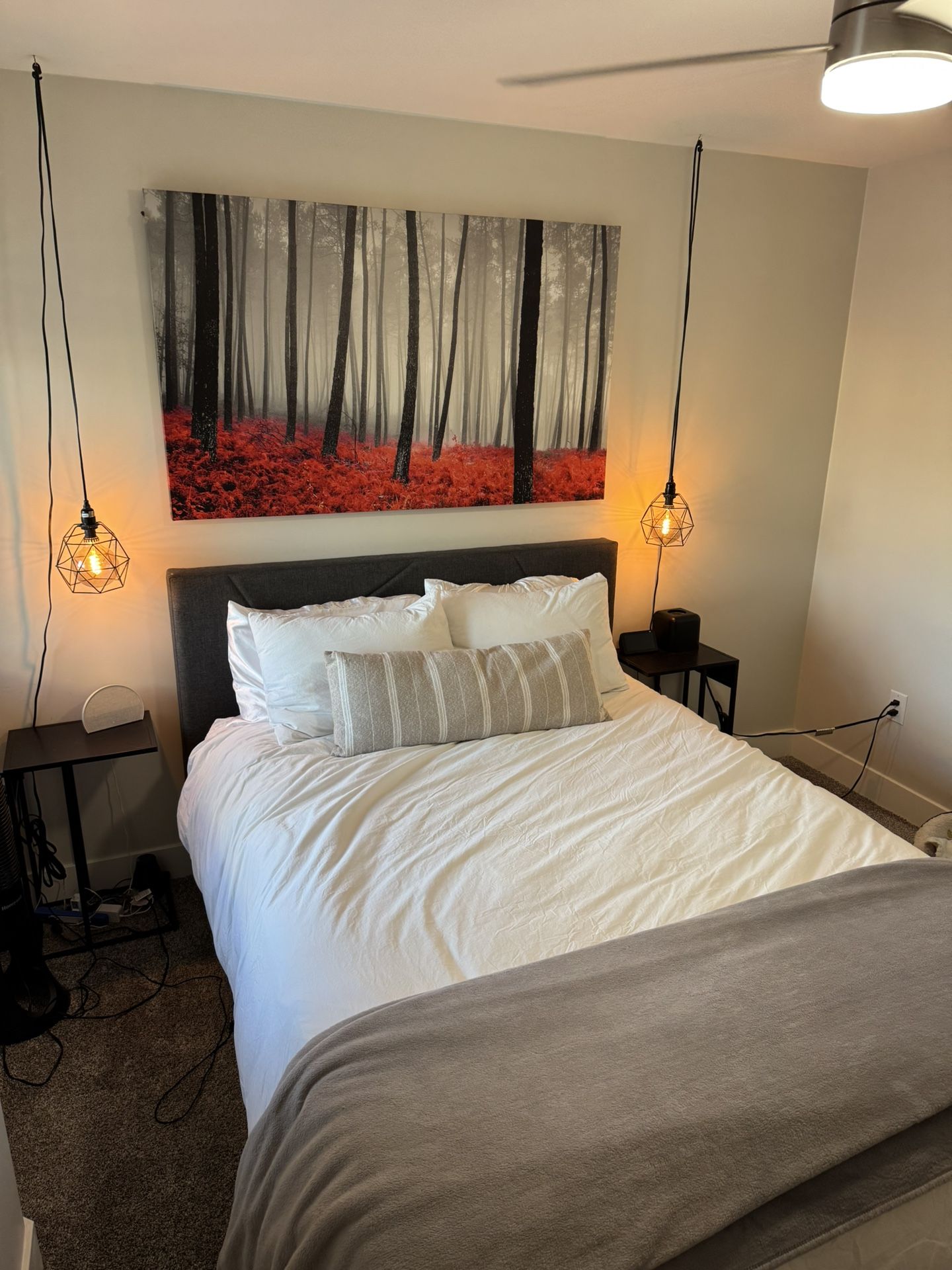 Queen Bed Frame + Mattress