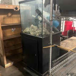 60 Gallon Fish Tank $500 OBO