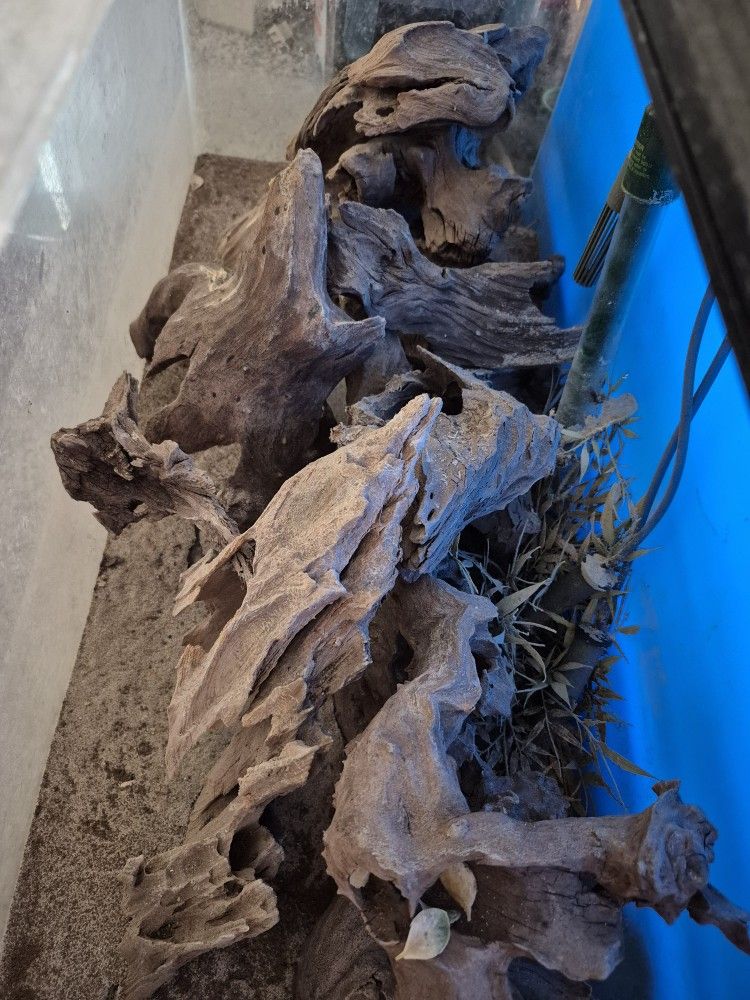 50 Gallon Fish Tank