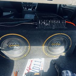 2 10 Inch Subwoofers