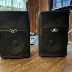 Peavey PVX 12″ Two-Way PA Speaker