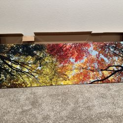 Large Canvas Art - Fall 