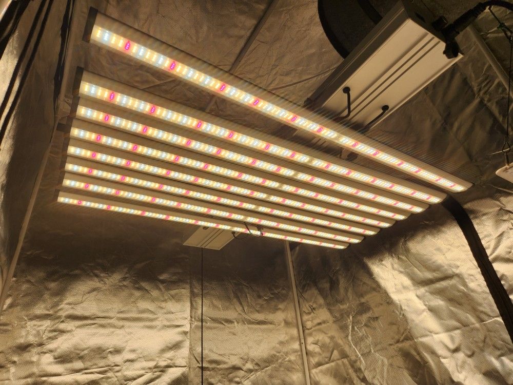 Bontanny BO-6500 LED Grow Light Lm281b LED Chips  640 Watts Massive Spread