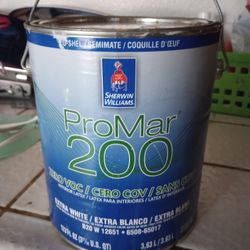 Sherman Williams Egg Shell White Paint 