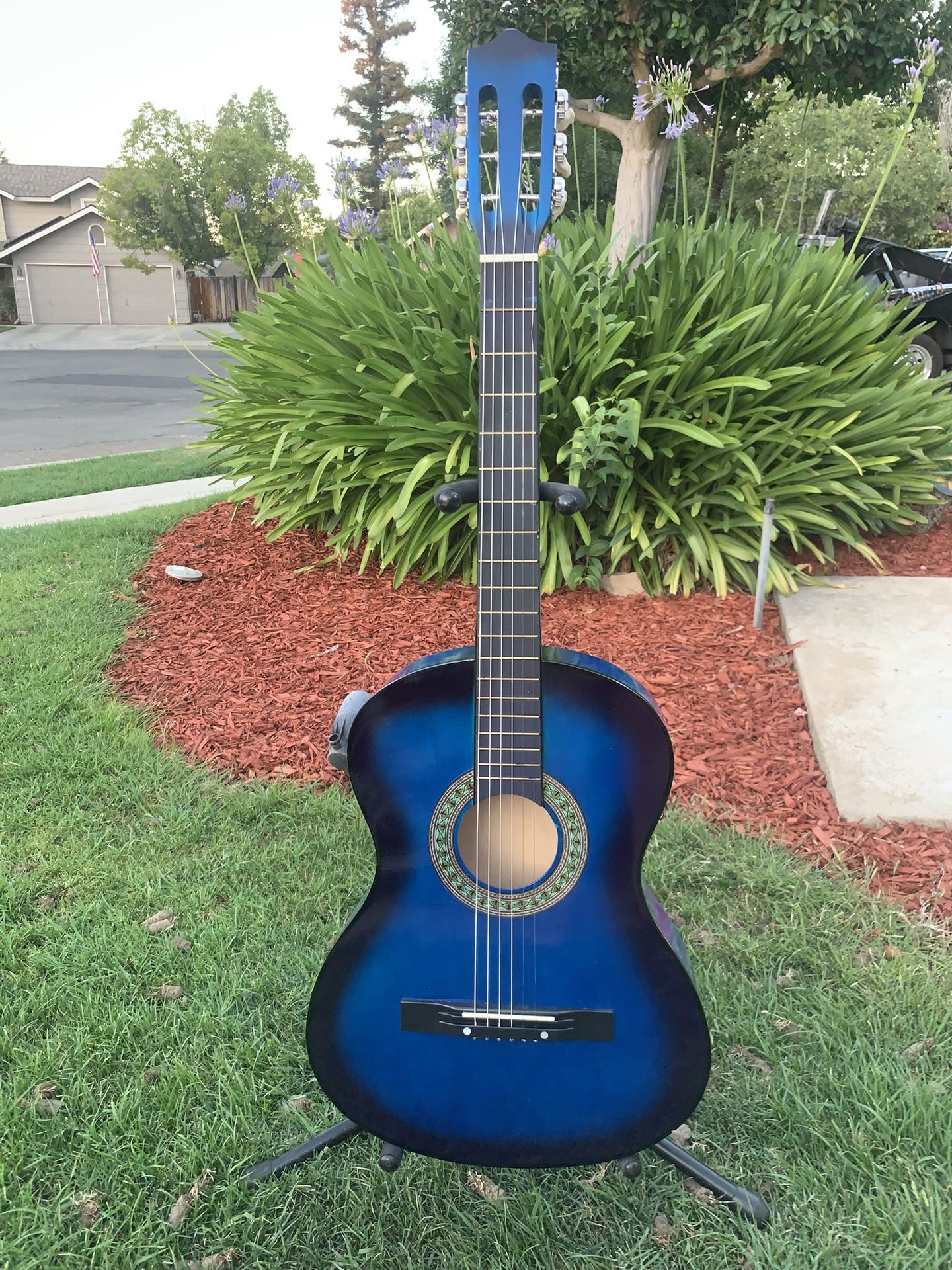 Brand New Guitar