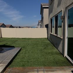Tall Fescue Grass