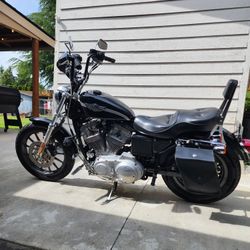 03 100 Year Anniversary Sportster 883 Hugger