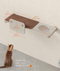Cat shelf