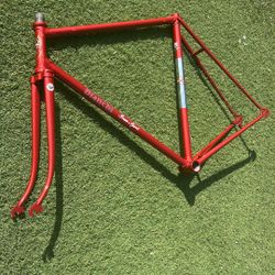 Bianchi Gran Sport Road Bike Frame Painted By Allan Wanta BEAUTIFUL