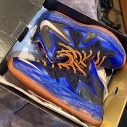 Nike LeBron 10 Size 13
