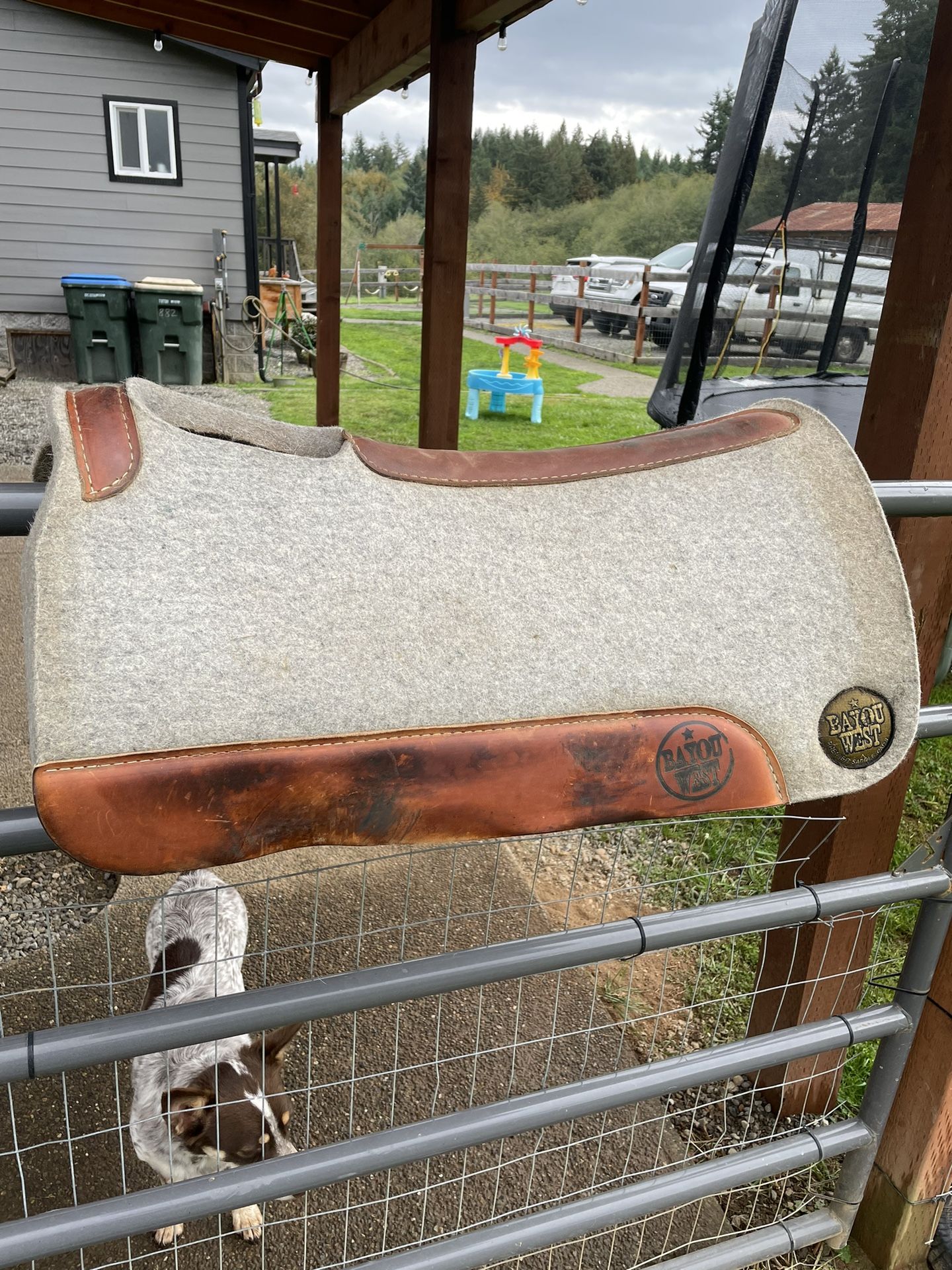 Saddle Pad