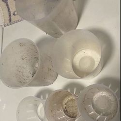 Six Clear Orchid Pots with Holes Assorted Sizes