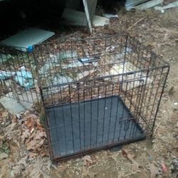 Dog Cage 