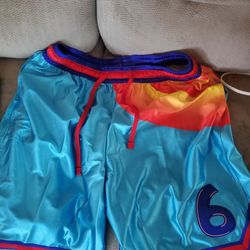 Nike Lebron Space Jams 2 XXL Mens Shorts