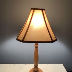 2-lamps in good working condition! Priced separately!