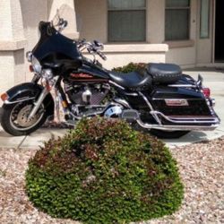 Harley Davidson Road King