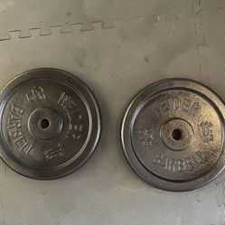 Weight Plates.         35.  Dollars 