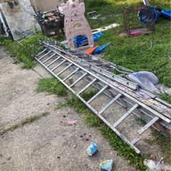 Ladders 