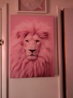 Pink lion