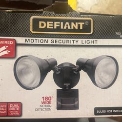 Security Light 