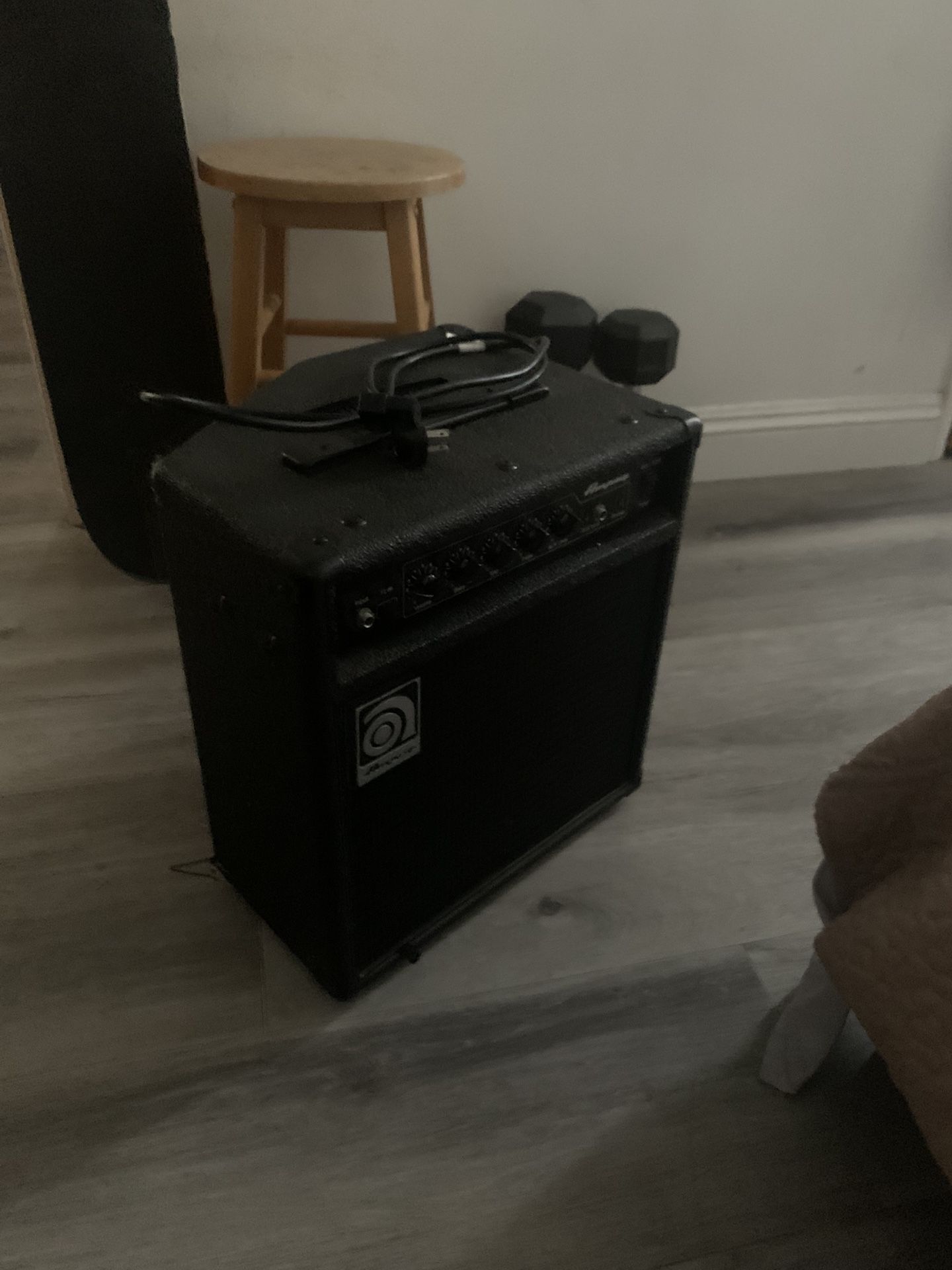 Electric bass guitar speaker 