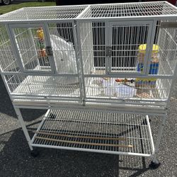 Birdcage