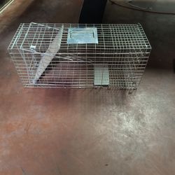 Trap Cage For Pest