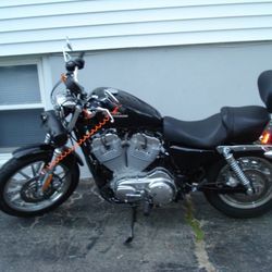 2008 Harley Davidson Sportster 883