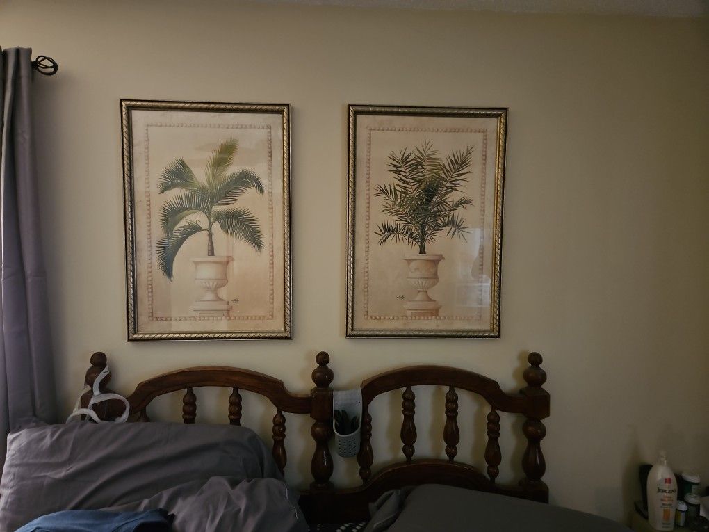Pictures