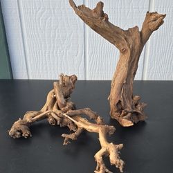 Natural Driftwood