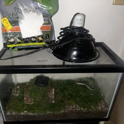 Terrarium/Tank