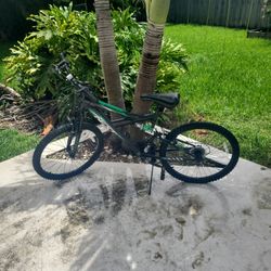 Vertical Gauntlet 24 Inch Kids Bike