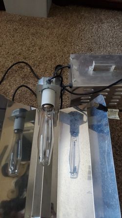 Light grow setup 600 w