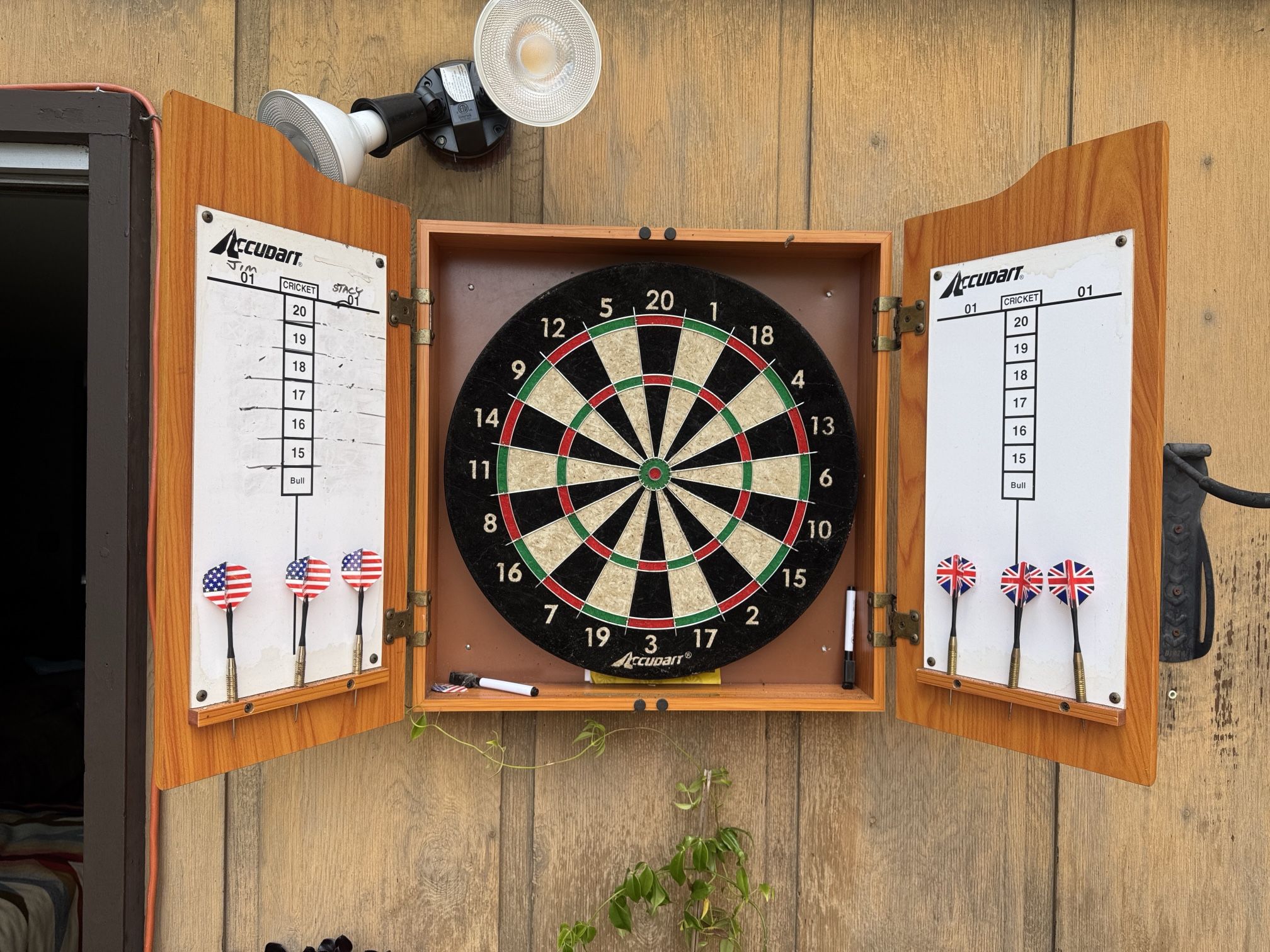 Dart Board - Indoor/Outdoor