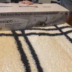 Scrub Cleaner For The House