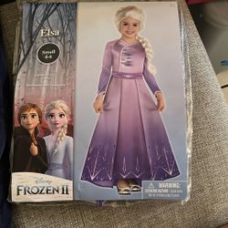 Elsa Costume
