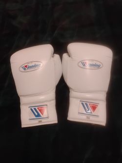 Winning boxing gloves