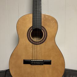 Acoustic Guitar 