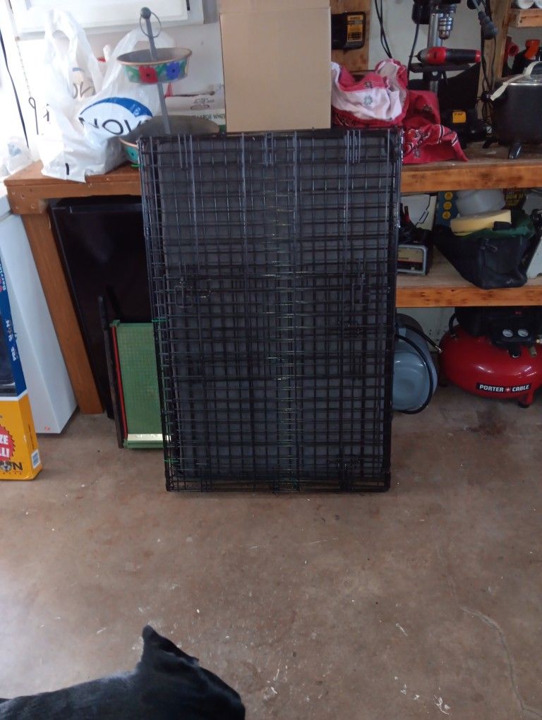 Large Dog Kennel